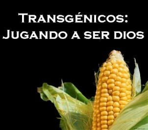 transgenicos_dios