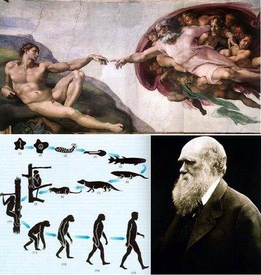 Creacionismo vs Darwinismo  Evolucion-darwin
