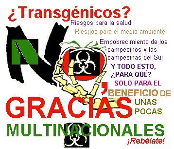 transgenicos2